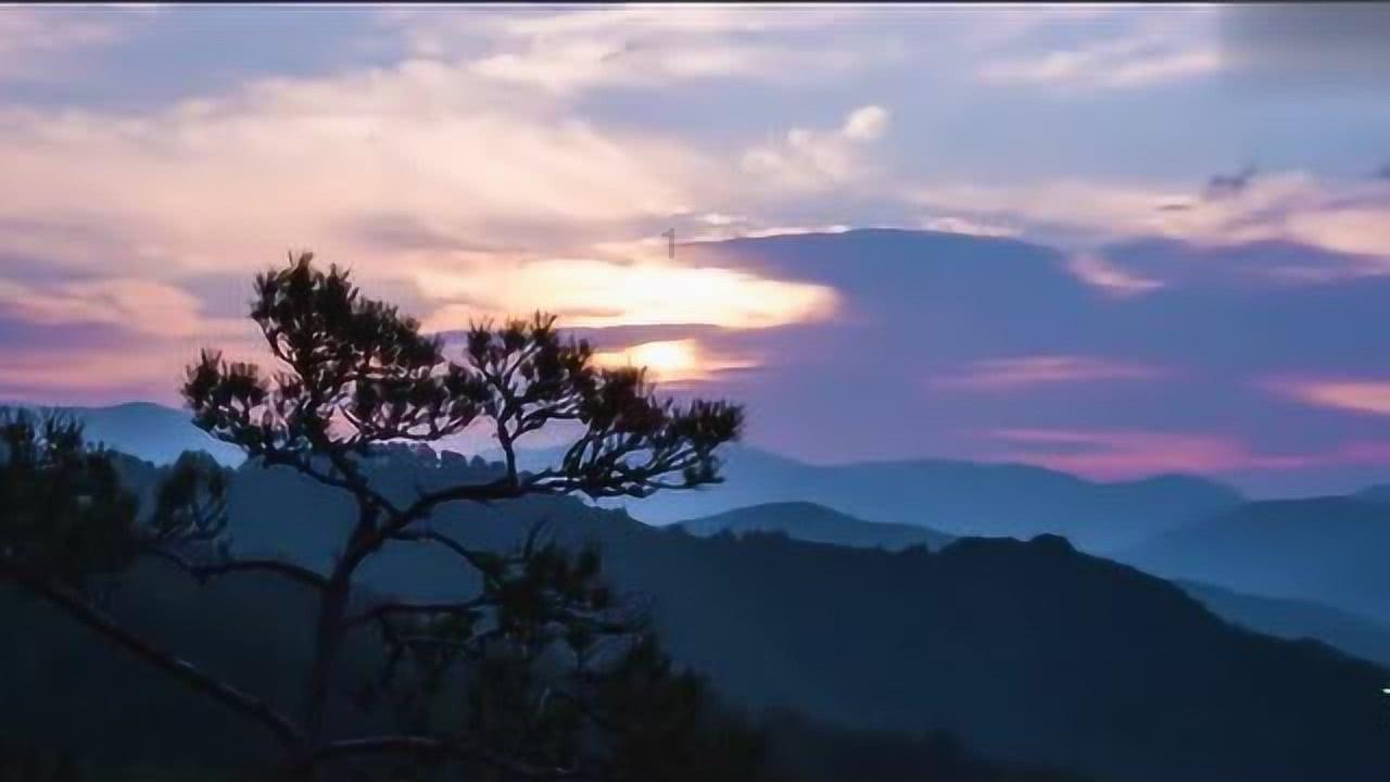 十二载栉风沐雨 用行动诠释过硬“标兵”