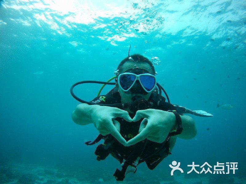 七十年前的一张任命通知